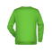 Sudadera básica hombre JN794. Color lime/green.