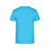 Camiseta hombre JN797. Color turquoise.