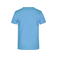 Camiseta hombre JN797. Color sky/blue.