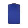 Chaleco reflectante con identificador unisex Identification vest. Color azul real.