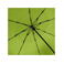 Paraguas mini Jumbomagic Windfighter 2.0. Color lima ws.