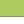 Color Lime green/White (555)