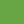 Color Electric green (504)