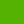 Color Verde neon (286)