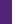 Color Sporty purple/White (69090)