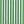 Color Vichy verde c/Bco (4400)