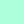 Color Mint green w (mgw)