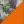 Color Camuflaje bosque verde/Naranja fluor (cmfbsvd/nrf)