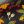 Color Estampado variado (est)